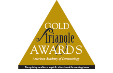 Gold Triangle Award